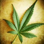 Is Marijuana Sinful?