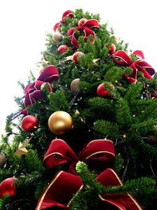 256px-Christmas_tree_sxc_hu