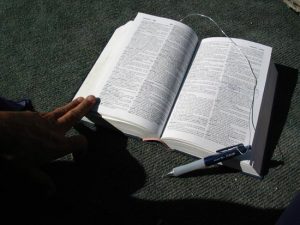 Daily Bible Reading and Study